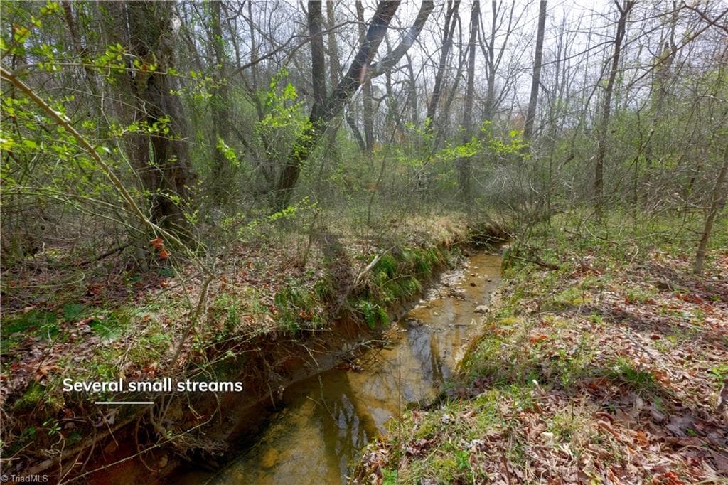 Unimproved Land at 0 Johnson Farm Road # 1, Pilot Mountain NC 27041, photo 11 of 28