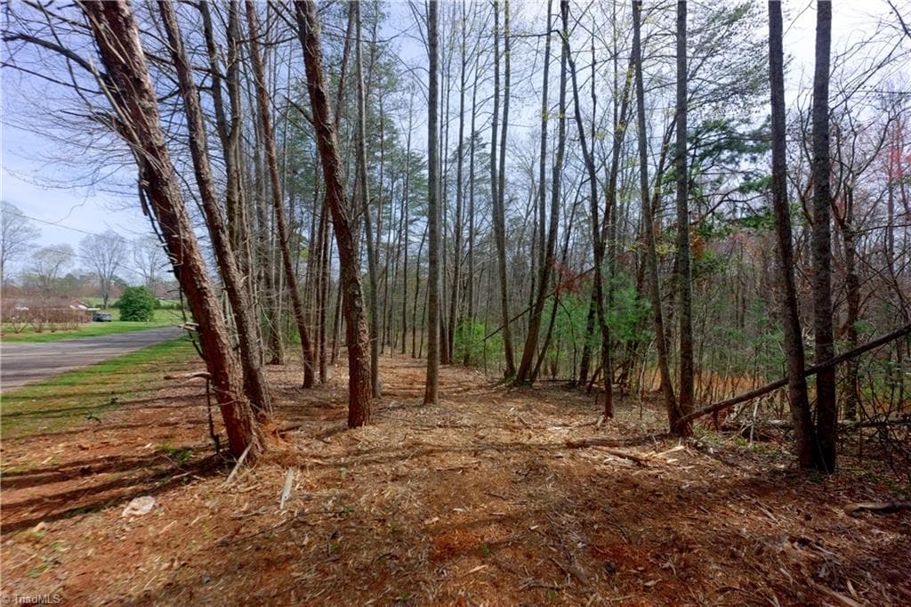 Unimproved Land at 0 Johnson Farm Road # 1, Pilot Mountain NC 27041, photo 8 of 28