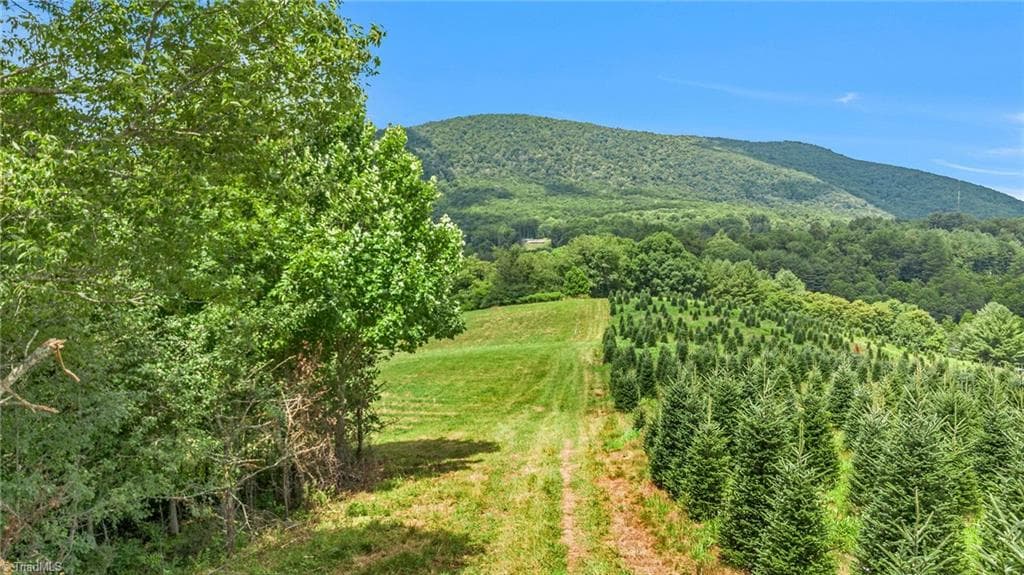 Unimproved Land at TBD N 6th Avenue, West Jefferson NC 28694, photo 2 of 23
