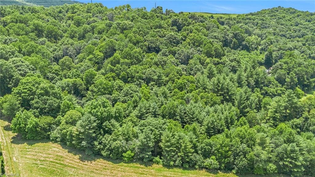 Unimproved Land at TBD N 6th Avenue, West Jefferson NC 28694, photo 7 of 23