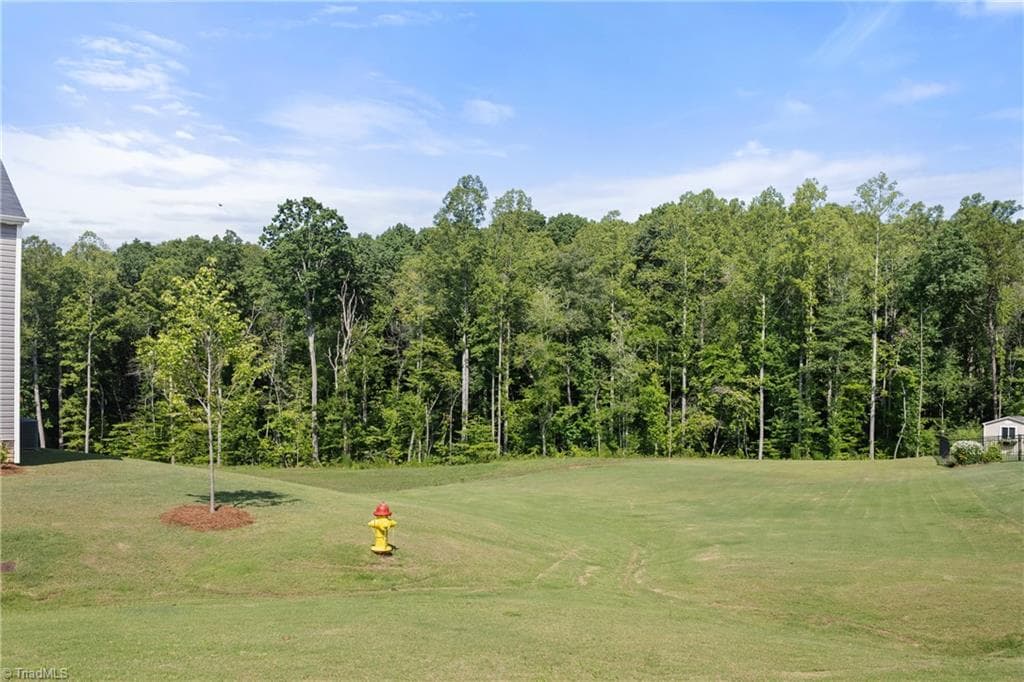 Stick/Site Built at 173 Nova Lane, King NC 27021, photo 38 of 38