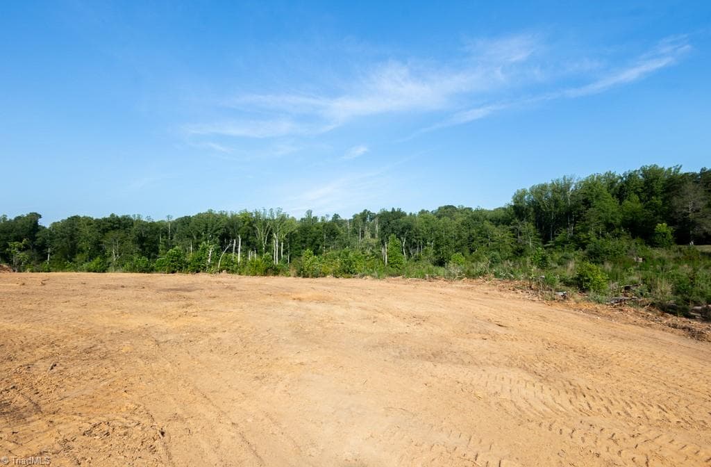 Unimproved Land at 000 Baker Crossroad Road, Reidsville NC 27320, Reidsville, photo 11 of 14