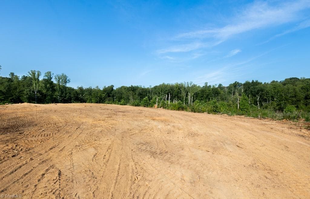 Unimproved Land at 000 Baker Crossroad Road, Reidsville NC 27320, Reidsville, photo 9 of 14