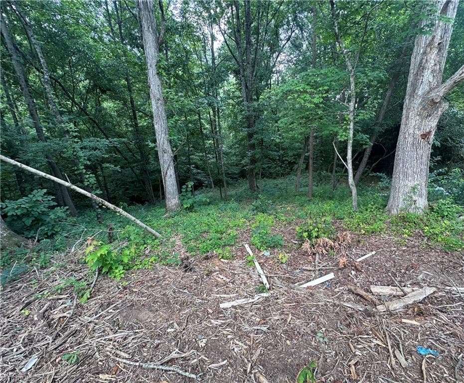 Single Family Residence at 4430 Ben Lane, Walkertown NC 27051