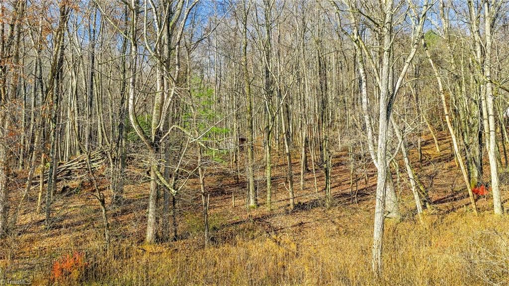 Stick/Site Built at 1451 Elliott Road, West Jefferson NC 28694, photo 6 of 33