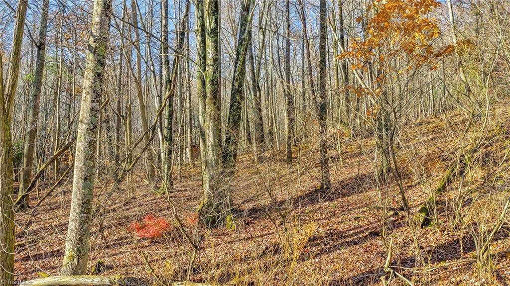 Stick/Site Built at 1451 Elliott Road, West Jefferson NC 28694, photo 7 of 33