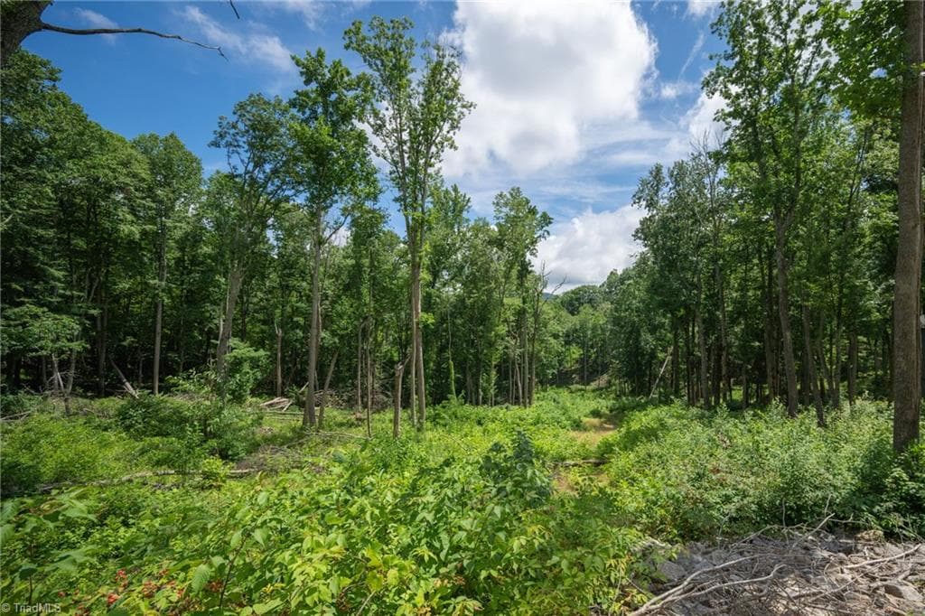 Resort at Lot C83 SmokeRise Drive, Banner Elk NC 28622, photo 13 of 35