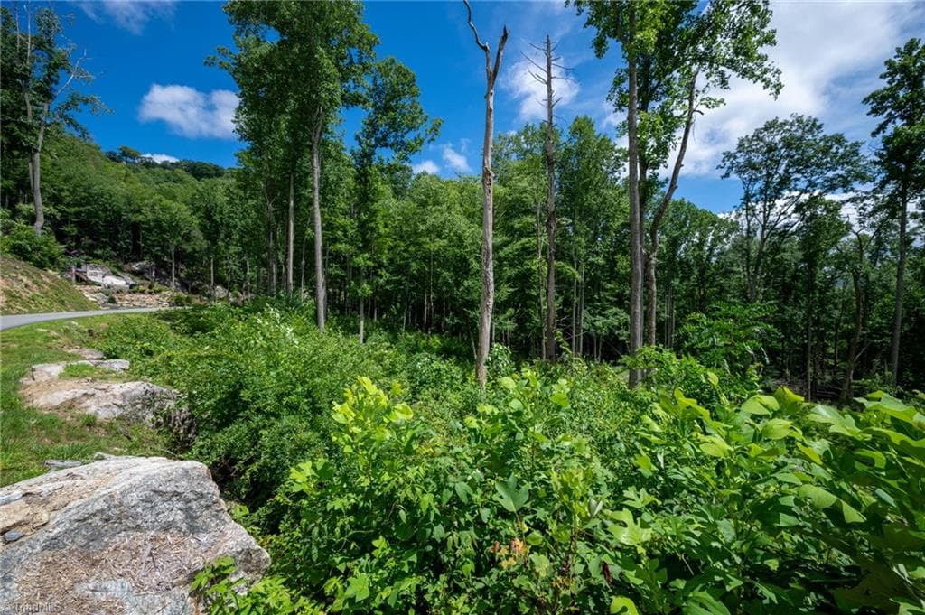 Resort at Lot C83 SmokeRise Drive, Banner Elk NC 28622, photo 12 of 35