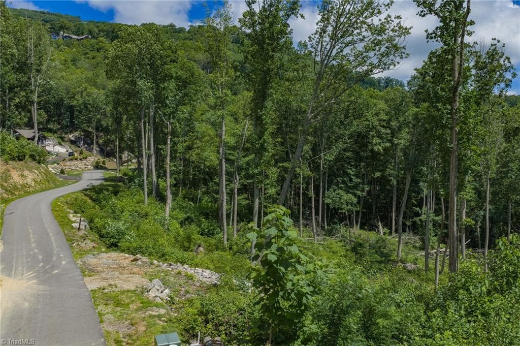 Resort at Lot C83 SmokeRise Drive, Banner Elk NC 28622, photo 3 of 35