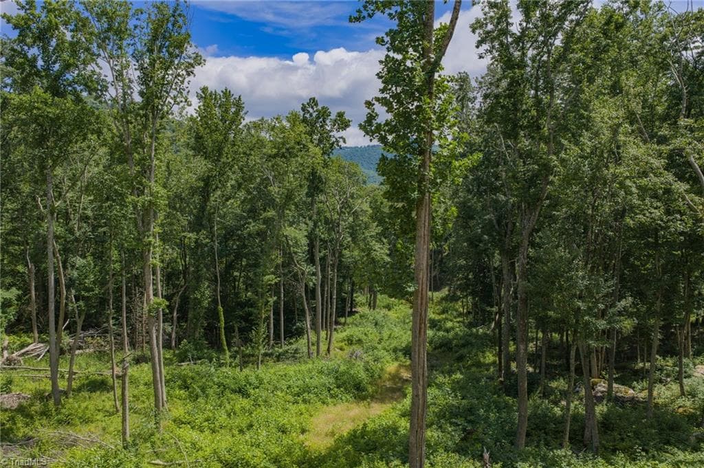 Resort at Lot C83 SmokeRise Drive, Banner Elk NC 28622, photo 10 of 35