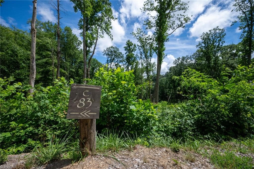 Resort at Lot C83 SmokeRise Drive, Banner Elk NC 28622, photo 11 of 35