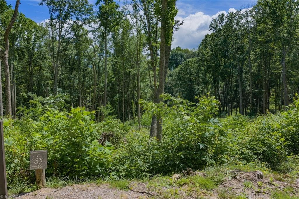 Resort at Lot C83 SmokeRise Drive, Banner Elk NC 28622, photo 4 of 35