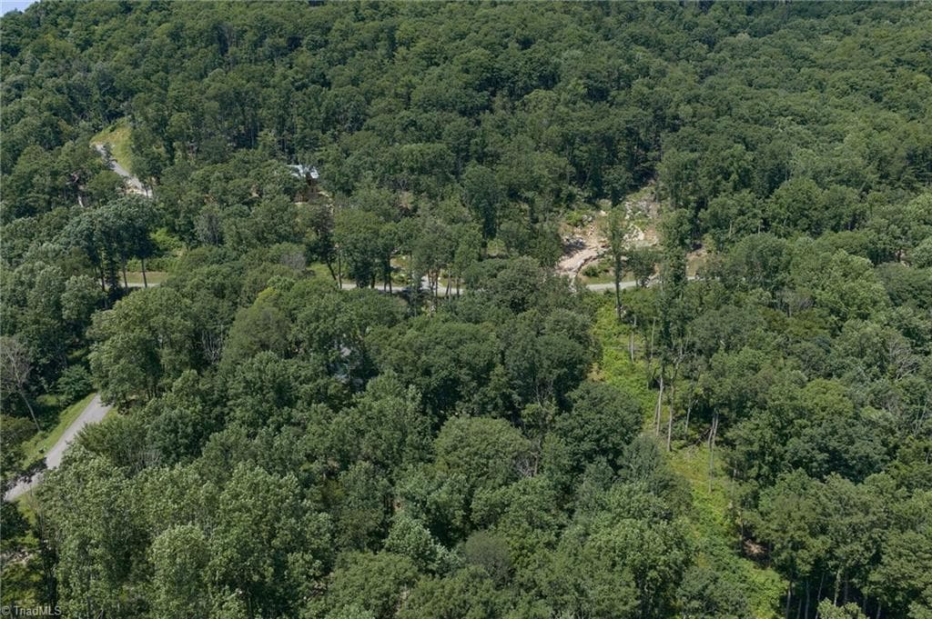 Resort at Lot C83 SmokeRise Drive, Banner Elk NC 28622, photo 8 of 35
