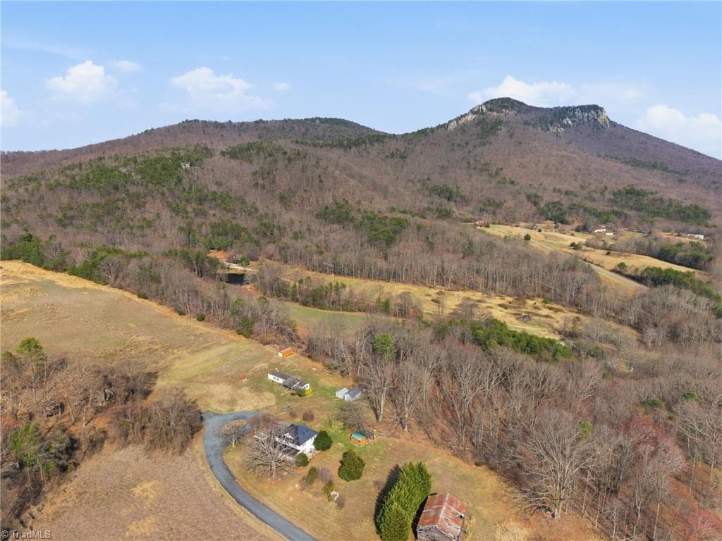 Agriculture at 0 Reid Road Lot 1, King NC 27021, photo 2 of 12