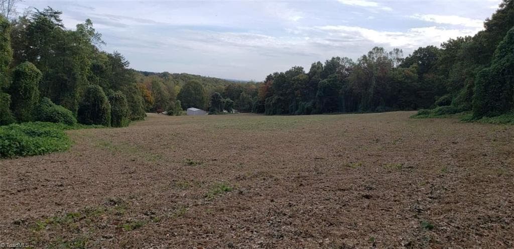 Agriculture at 0 Reid Road Lot 1, King NC 27021, photo 6 of 12