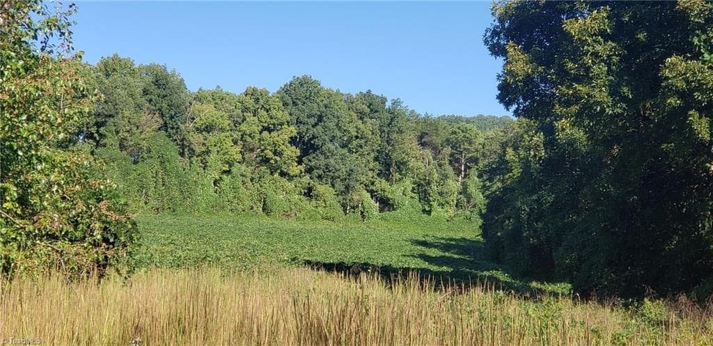 Agriculture at 0 Reid Road Lot 1, King NC 27021, photo 5 of 12