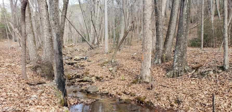 Agriculture at 0 Reid Road Lot 1, King NC 27021, photo 11 of 12