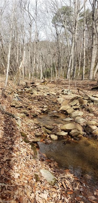 Agriculture at 0 Reid Road Lot 1, King NC 27021, photo 8 of 12