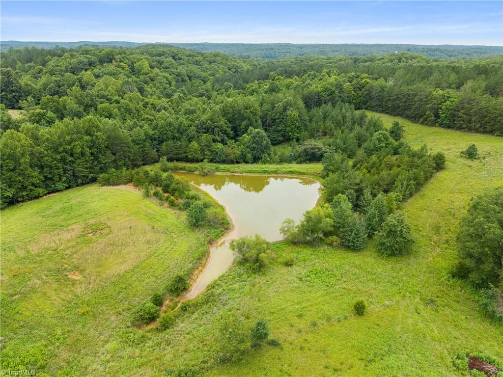 Unimproved Land at 0 Hauser Road, Pinnacle NC 27043, photo 9 of 10