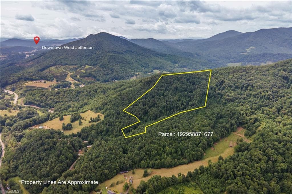 0 Tom Pless Road, Warrensville NC 28693