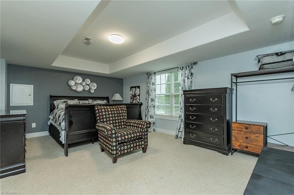 Basement flex space can be whatever you dream - 127 Covington Place, Lewisville NC 27023, Lewisville