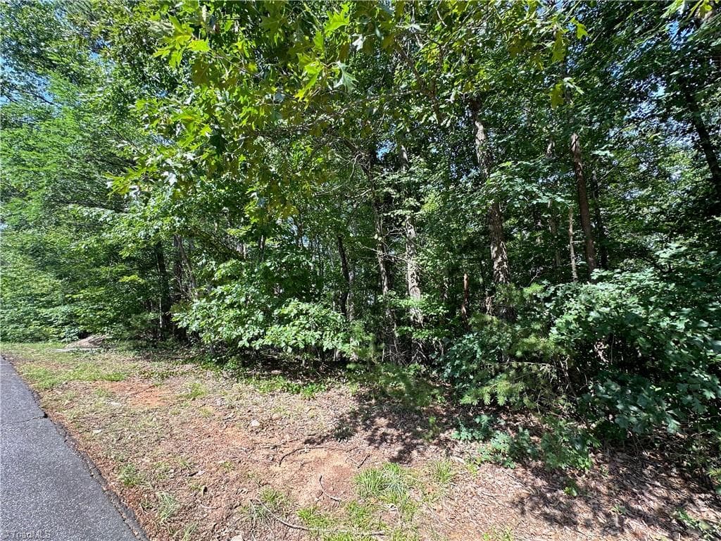 Single Family Residence at 0 John Byrd Road, Morganton NC 28655, Morganton, photo 2 of 12