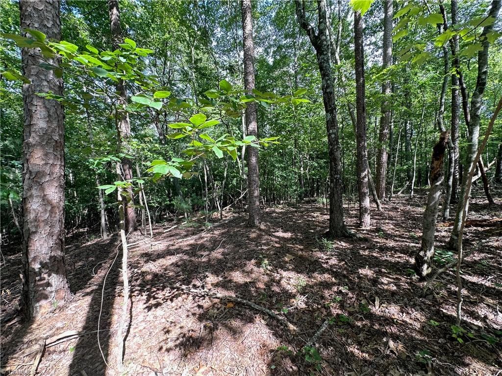 Single Family Residence at 0 John Byrd Road, Morganton NC 28655, Morganton, photo 7 of 12