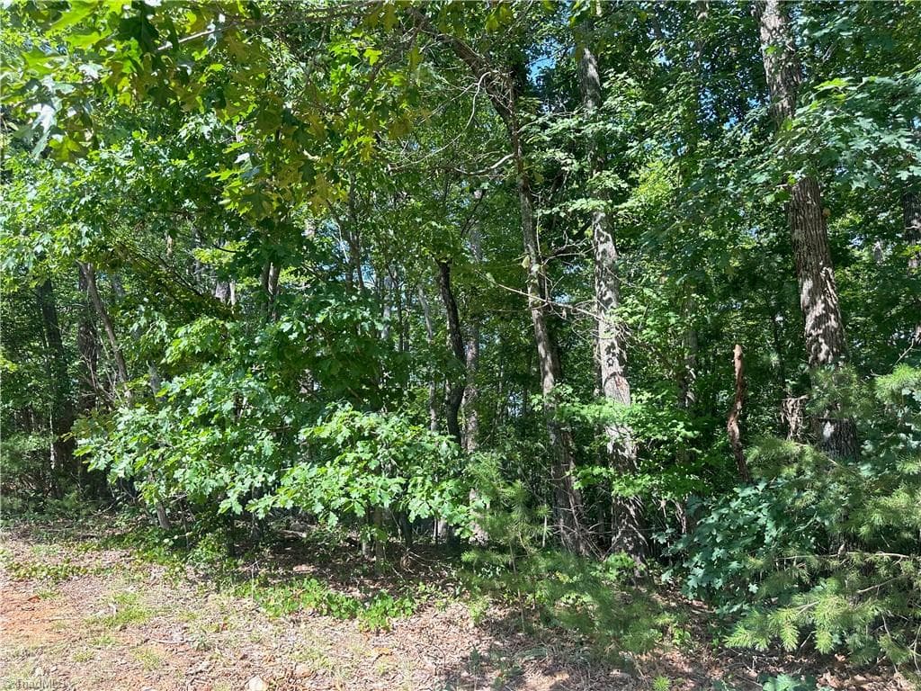 Single Family Residence at 0 John Byrd Road, Morganton NC 28655, Morganton, photo 5 of 12