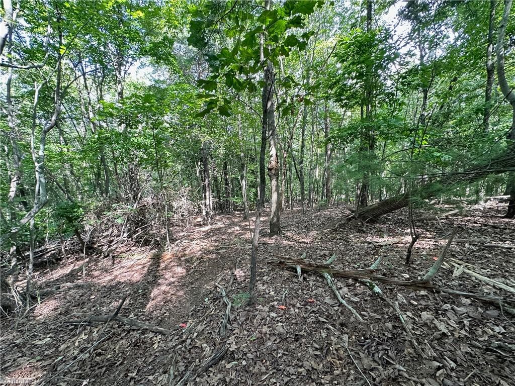 Single Family Residence at 0 John Byrd Road, Morganton NC 28655, Morganton, photo 10 of 12