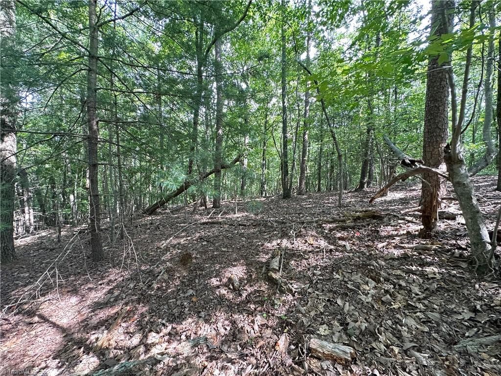 Single Family Residence at 0 John Byrd Road, Morganton NC 28655, Morganton, photo 11 of 12