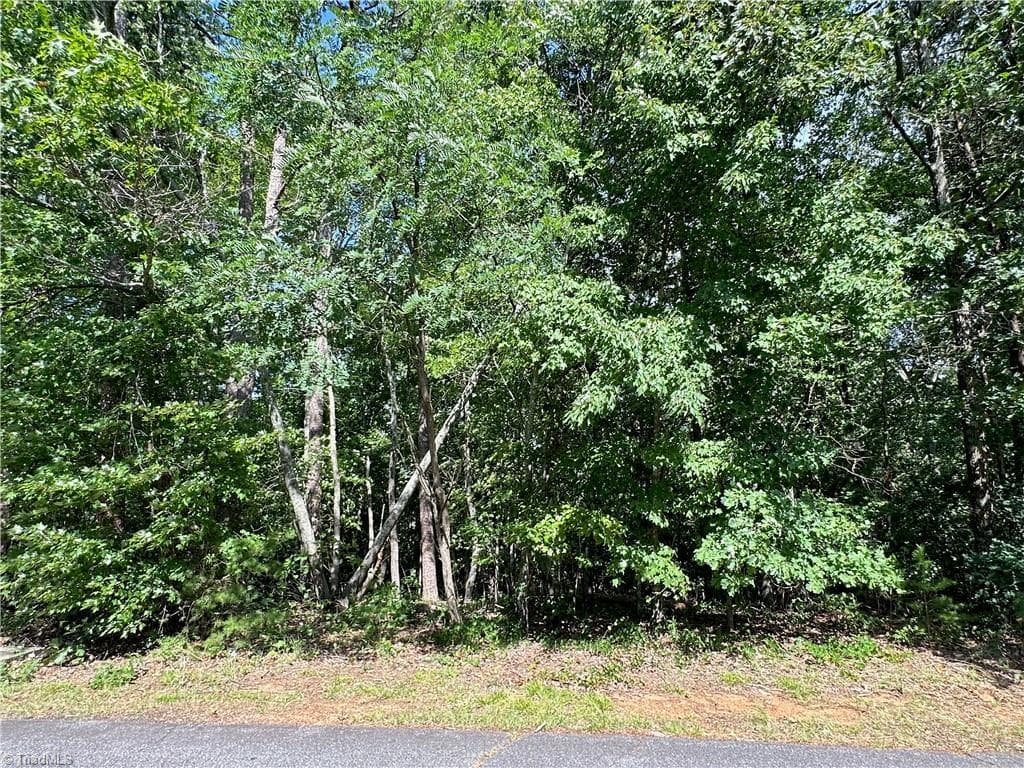 Single Family Residence at 0 John Byrd Road, Morganton NC 28655, Morganton, photo 4 of 12