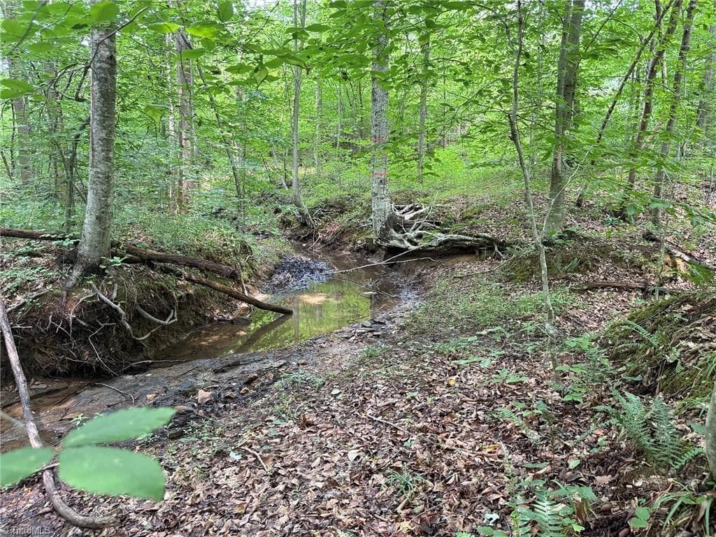 Unimproved Land at 00 Jennifer Drive, Reidsville NC 27320, Reidsville, photo 53 of 60