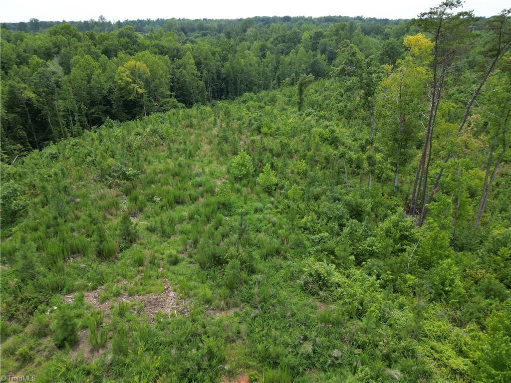 Unimproved Land at 00 Jennifer Drive, Reidsville NC 27320, Reidsville, photo 11 of 60