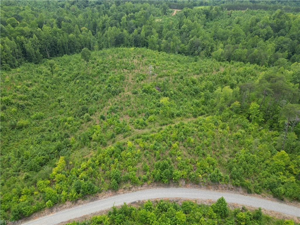 Unimproved Land at 00 Jennifer Drive, Reidsville NC 27320, Reidsville, photo 23 of 60