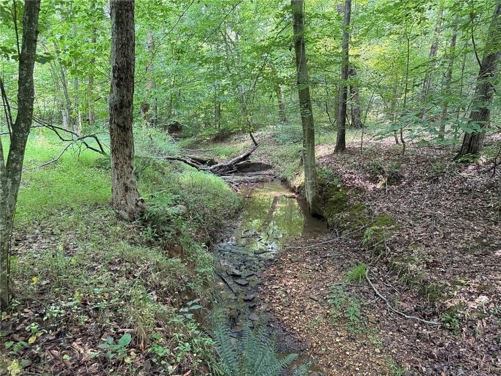 Unimproved Land at 00 Jennifer Drive, Reidsville NC 27320, Reidsville, photo 51 of 60