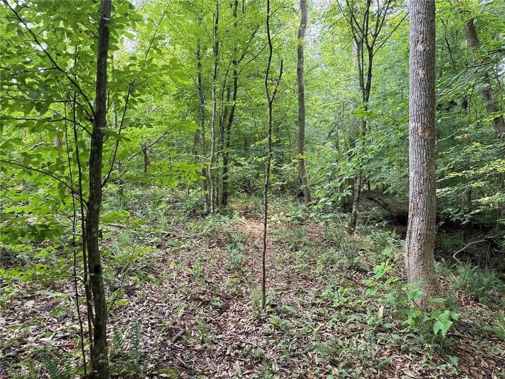 Unimproved Land at 00 Jennifer Drive, Reidsville NC 27320, Reidsville, photo 43 of 60