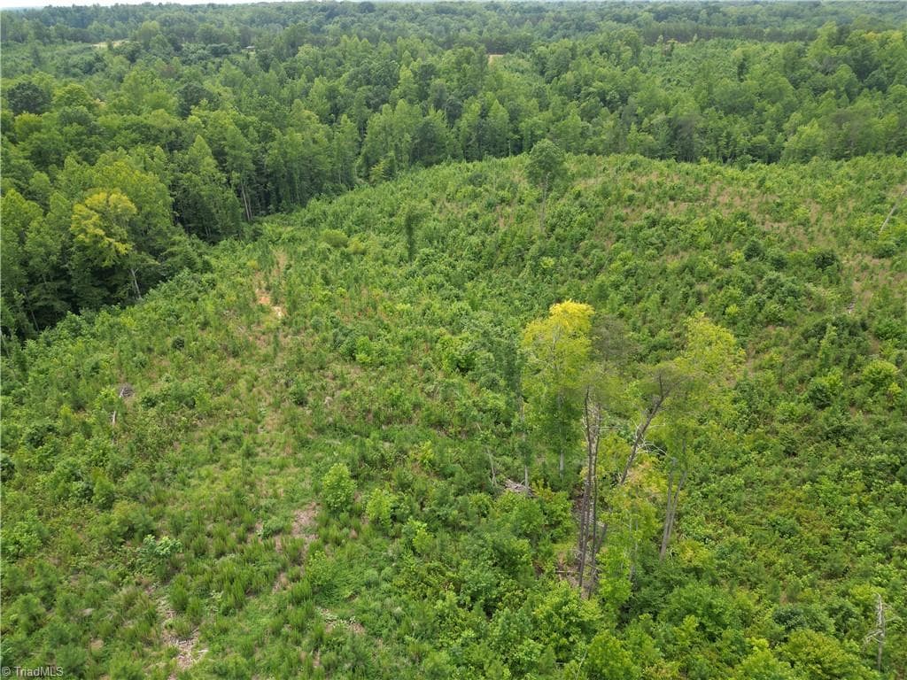 Unimproved Land at 00 Jennifer Drive, Reidsville NC 27320, Reidsville, photo 13 of 60