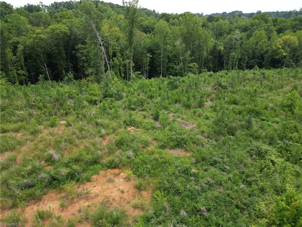 Unimproved Land at 00 Jennifer Drive, Reidsville NC 27320, Reidsville, photo 9 of 60