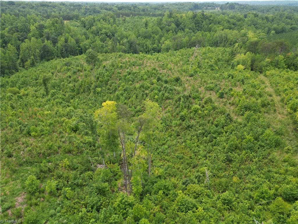 Unimproved Land at 00 Jennifer Drive, Reidsville NC 27320, Reidsville, photo 17 of 60
