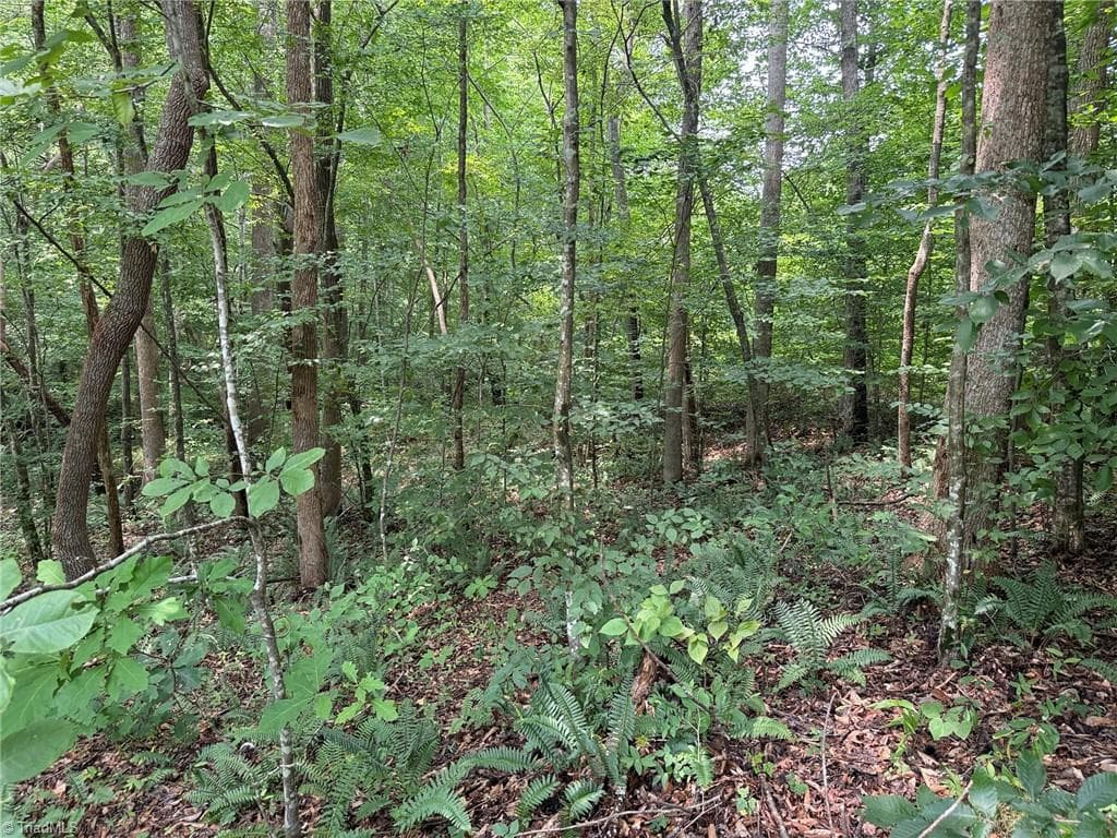Unimproved Land at 00 Jennifer Drive, Reidsville NC 27320, Reidsville, photo 57 of 60