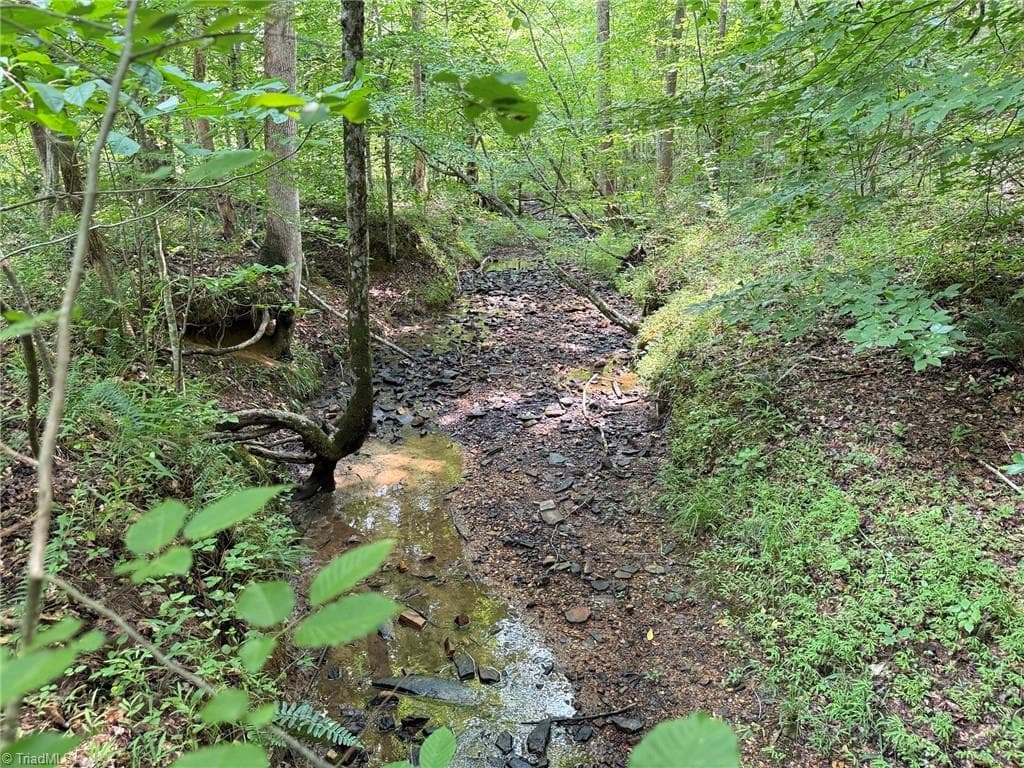 Unimproved Land at 00 Jennifer Drive, Reidsville NC 27320, Reidsville, photo 49 of 60