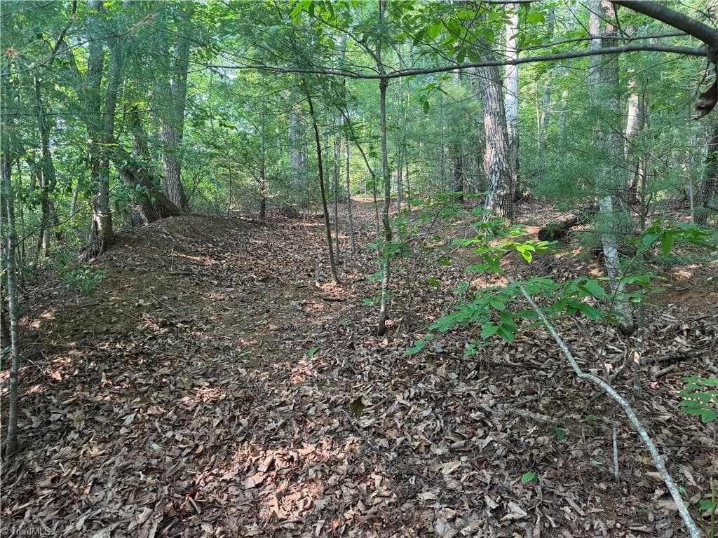Unimproved Land at 0000 N Old NC Highway 16, Millers Creek NC 28651, photo 23 of 39