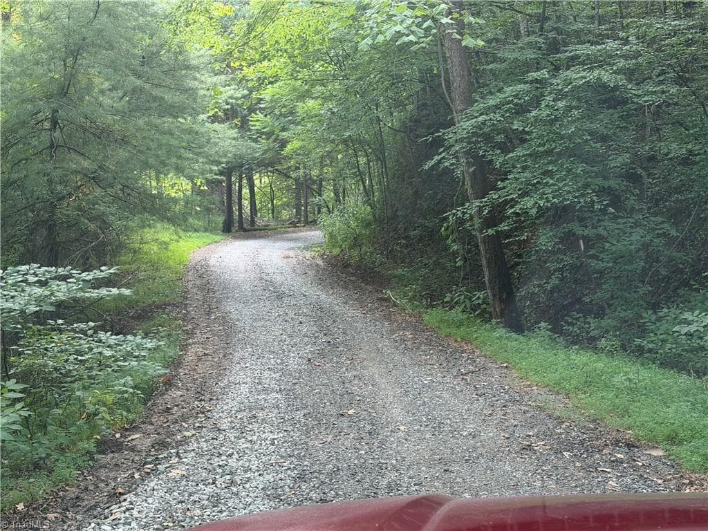 Unimproved Land at 0000 N Old NC Highway 16, Millers Creek NC 28651, photo 6 of 39