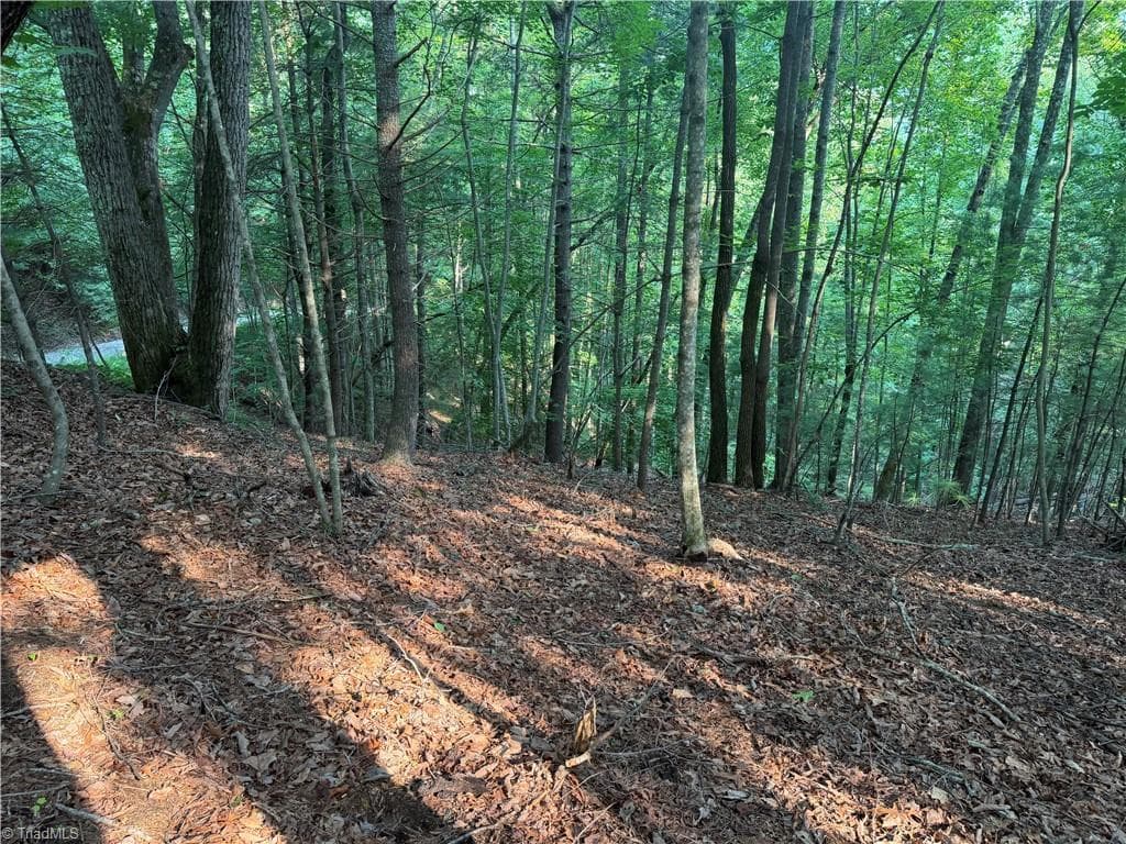 Unimproved Land at 0000 N Old NC Highway 16, Millers Creek NC 28651, photo 17 of 39