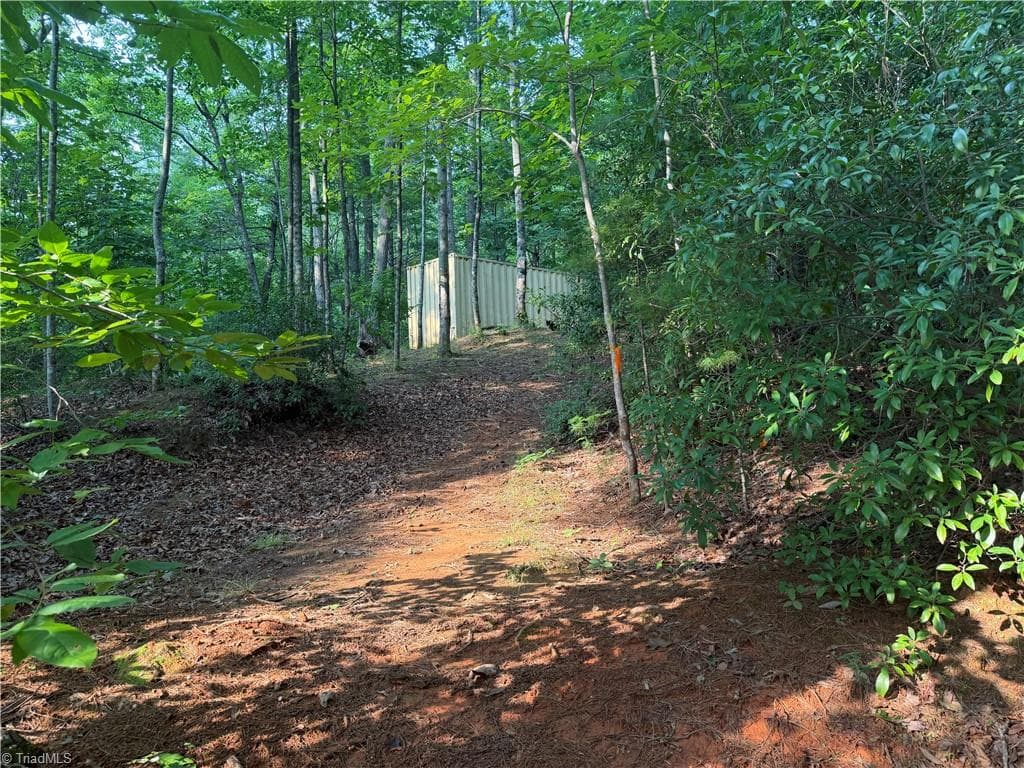 Unimproved Land at 0000 N Old NC Highway 16, Millers Creek NC 28651, photo 22 of 39