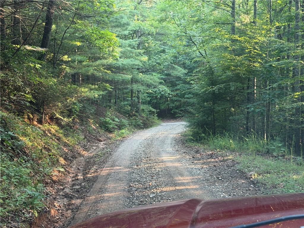 Unimproved Land at 0000 N Old NC Highway 16, Millers Creek NC 28651, photo 7 of 39