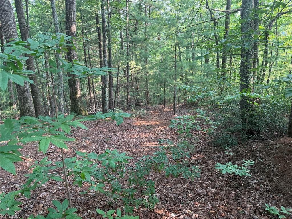 Unimproved Land at 0000 N Old NC Highway 16, Millers Creek NC 28651, photo 20 of 39