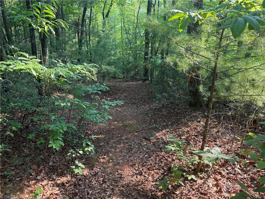 Unimproved Land at 0000 N Old NC Highway 16, Millers Creek NC 28651, photo 24 of 39