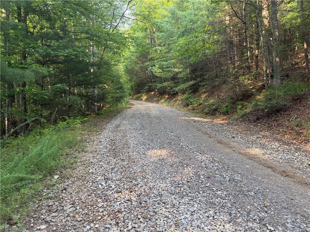 Unimproved Land at 0000 N Old NC Highway 16, Millers Creek NC 28651, photo 34 of 39
