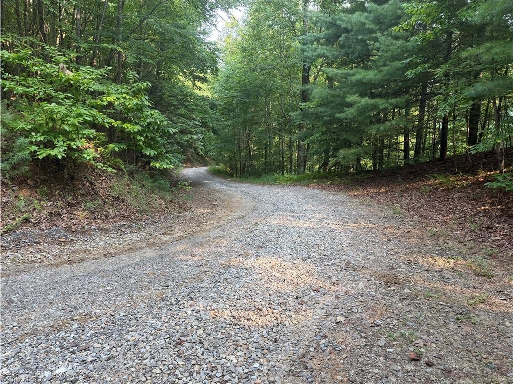 Unimproved Land at 0000 N Old NC Highway 16, Millers Creek NC 28651, photo 33 of 39